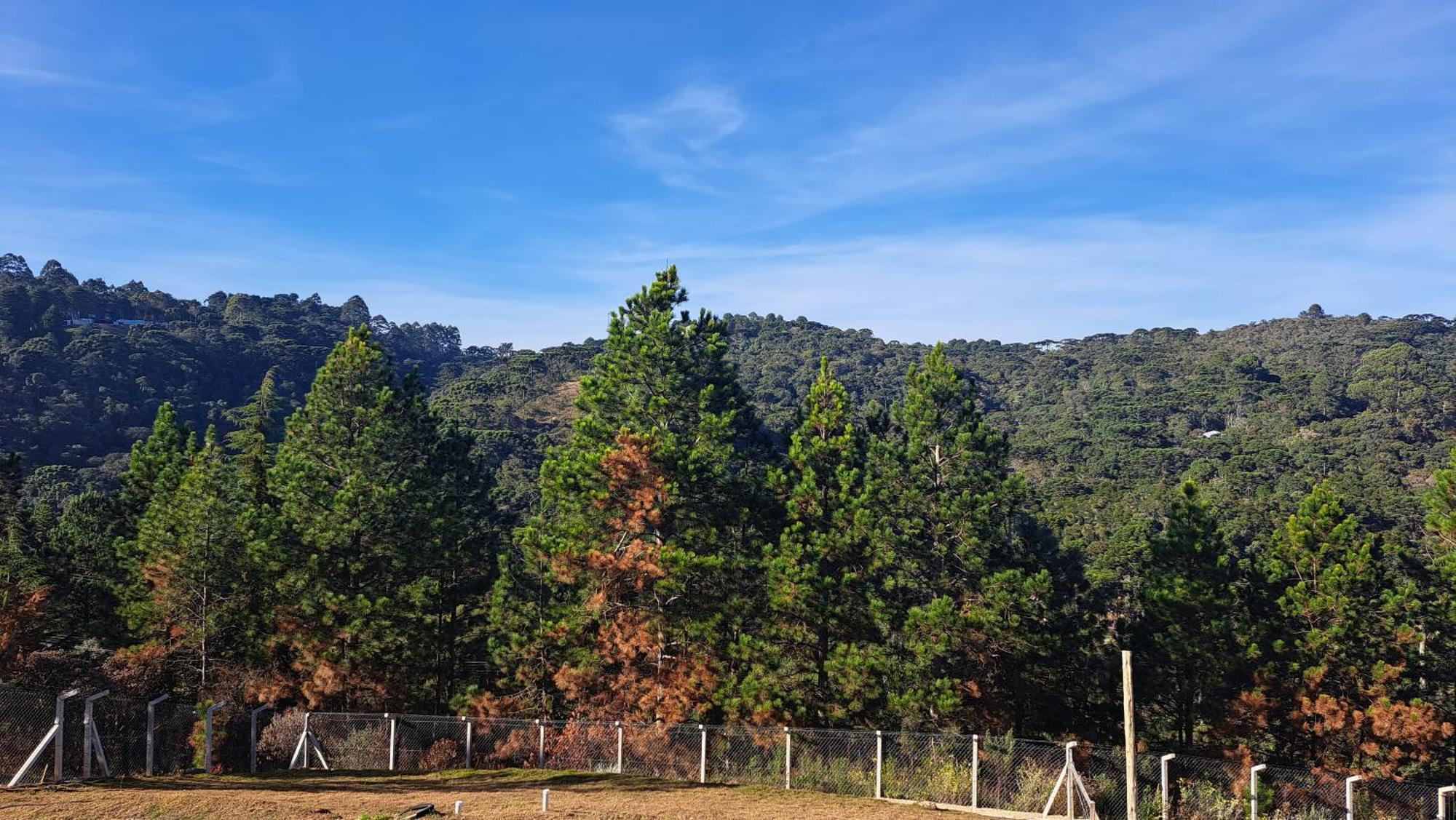 Chale Luz Do Luar Romantismo E Uma Linda Vista Campos do Jordão Exterior foto